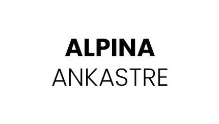 Alpina Davlumbaz Aspiratör Filtresi